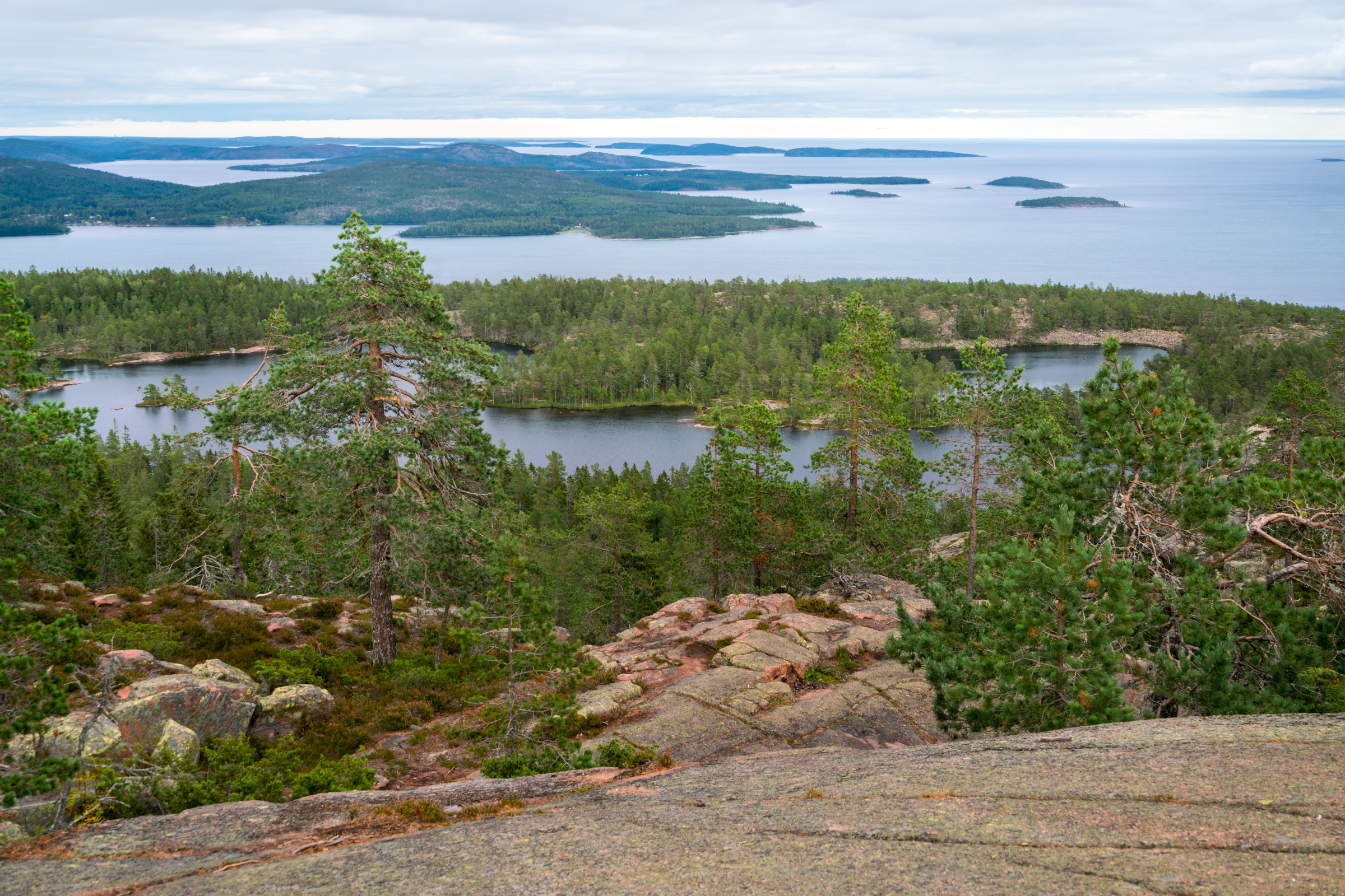 gulf of bothnia (3).webp